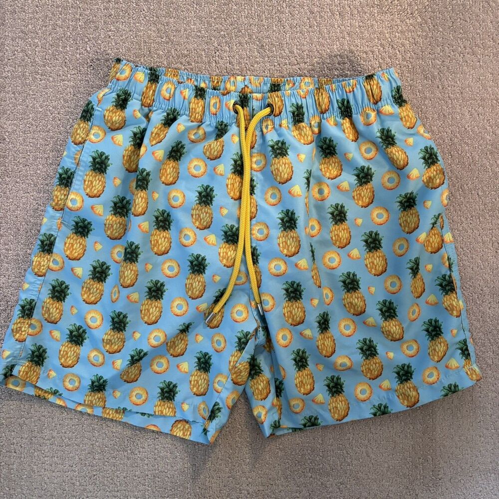 Franks Australia Graphic Pineapple Swim Trunk Mens L Bathing Suit Beach Vacation